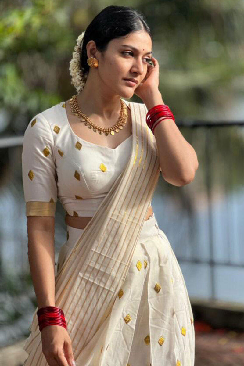 Diamond Embroidery Dhavani