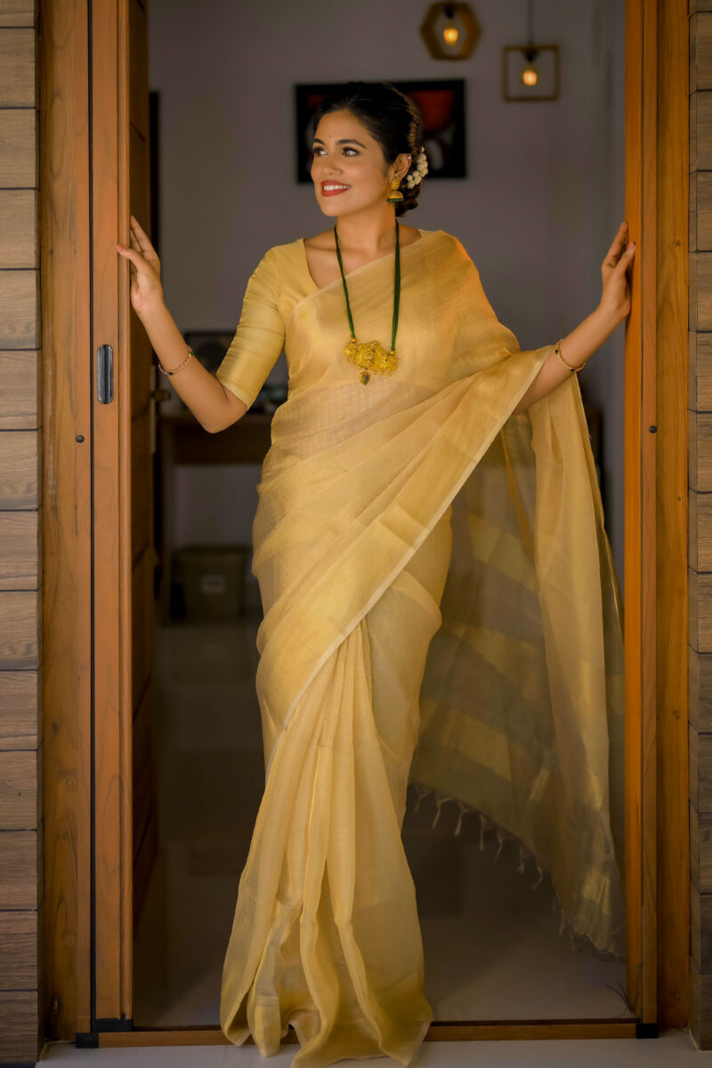 Pure Linen Tissue Saree