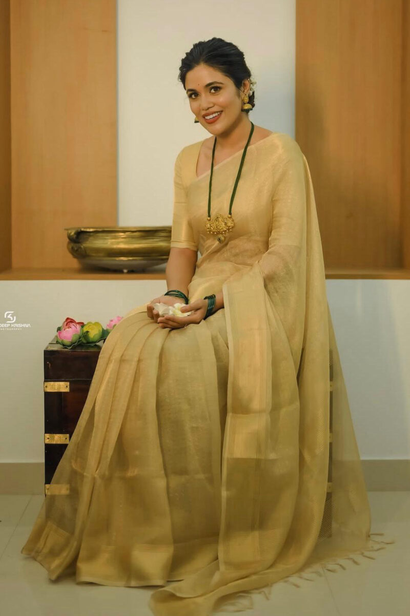 Pure Linen Tissue Saree