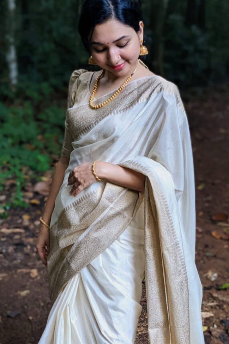 Warm Silk Banarasi Saree