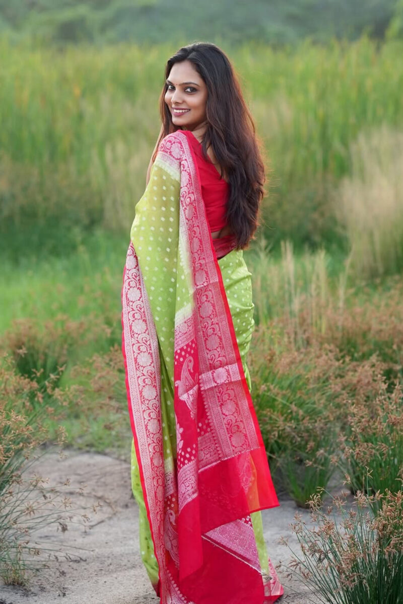 Semi-Georgette Banarasi Saree