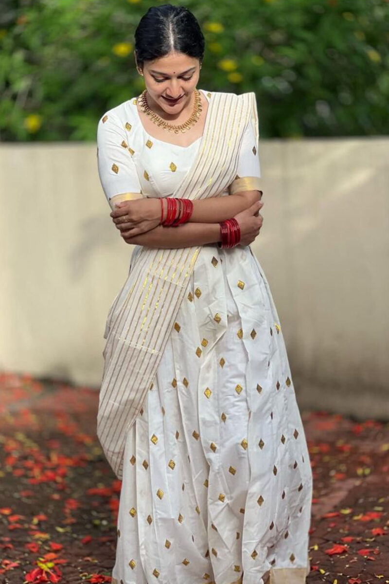 Diamond Embroidery Dhavani