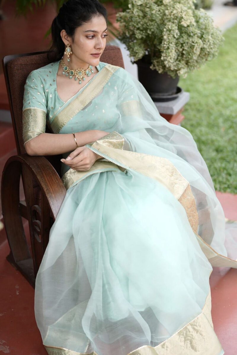 Organza Saree With Chanderi Silk Blouse