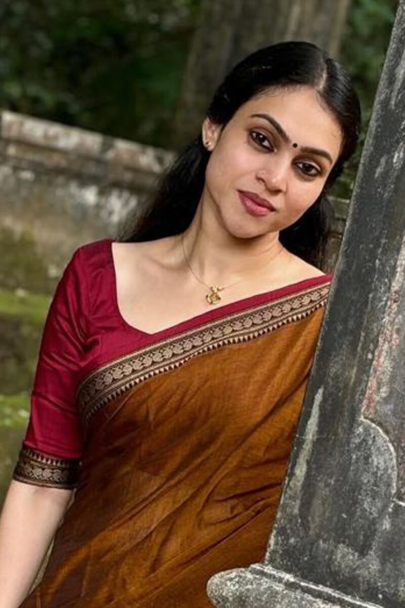 Narayanapet Brown Saree