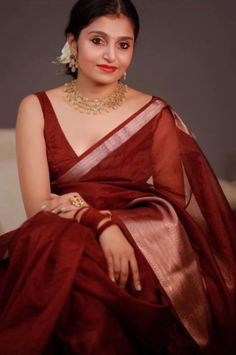 Organza Banarasi Kora Brown Saree