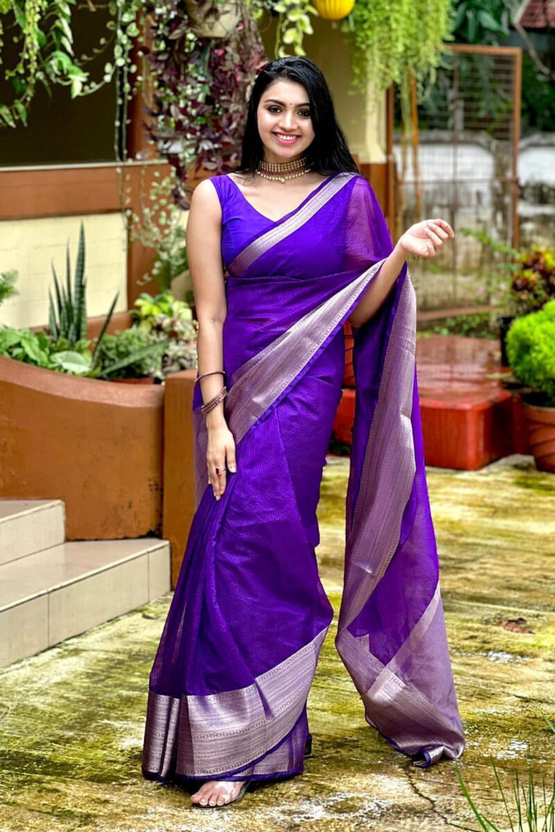 Organza Saree - Banarasi