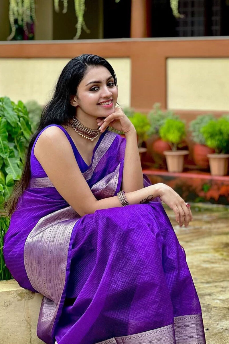 Organza Saree - Banarasi