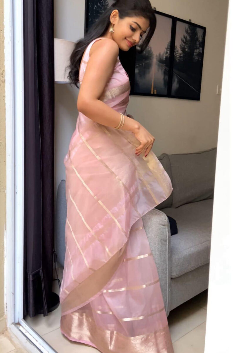Organza Kora Saree
