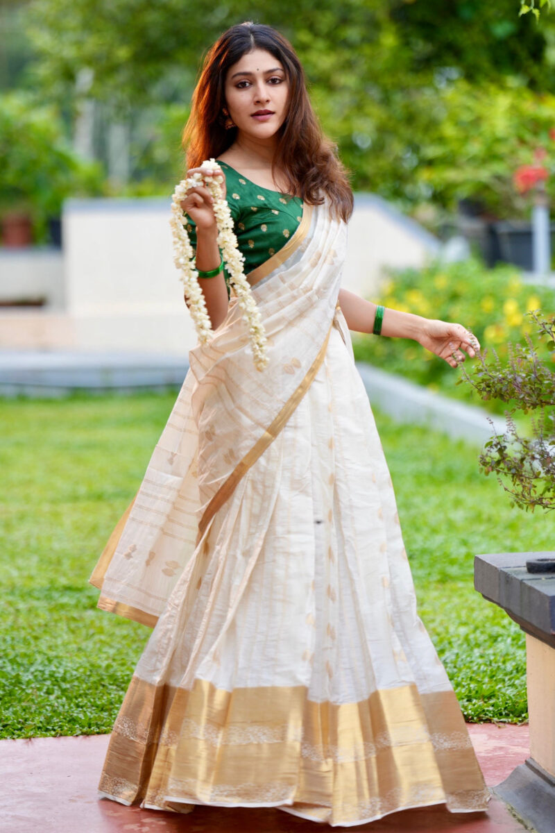 Kasavu semi silk butta Dhavani