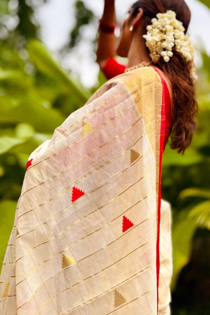 Handloom Tissue Diamond Saree