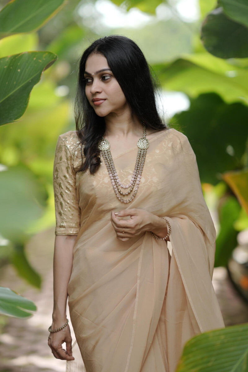 Viscose Organza Beige Saree