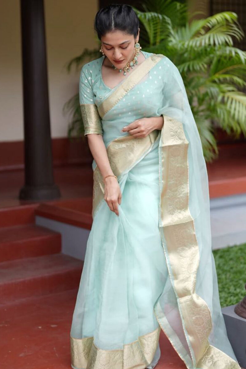 Organza Saree With Chanderi Silk Blouse