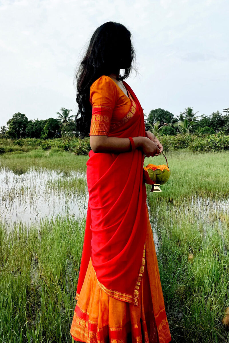 Narayanapet Orange Dhavani