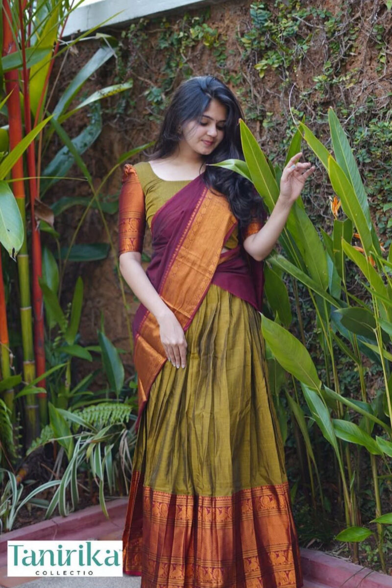 Narayanapet Green Dhavani