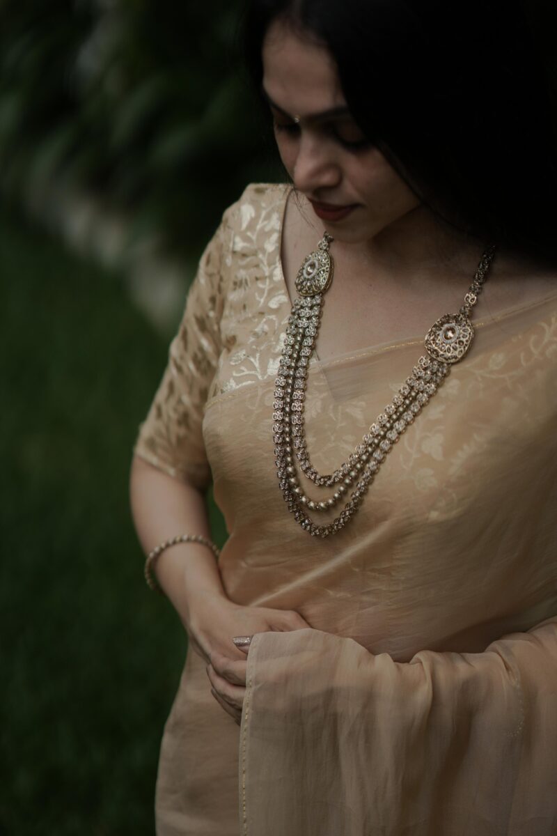 Viscose Organza Beige Saree
